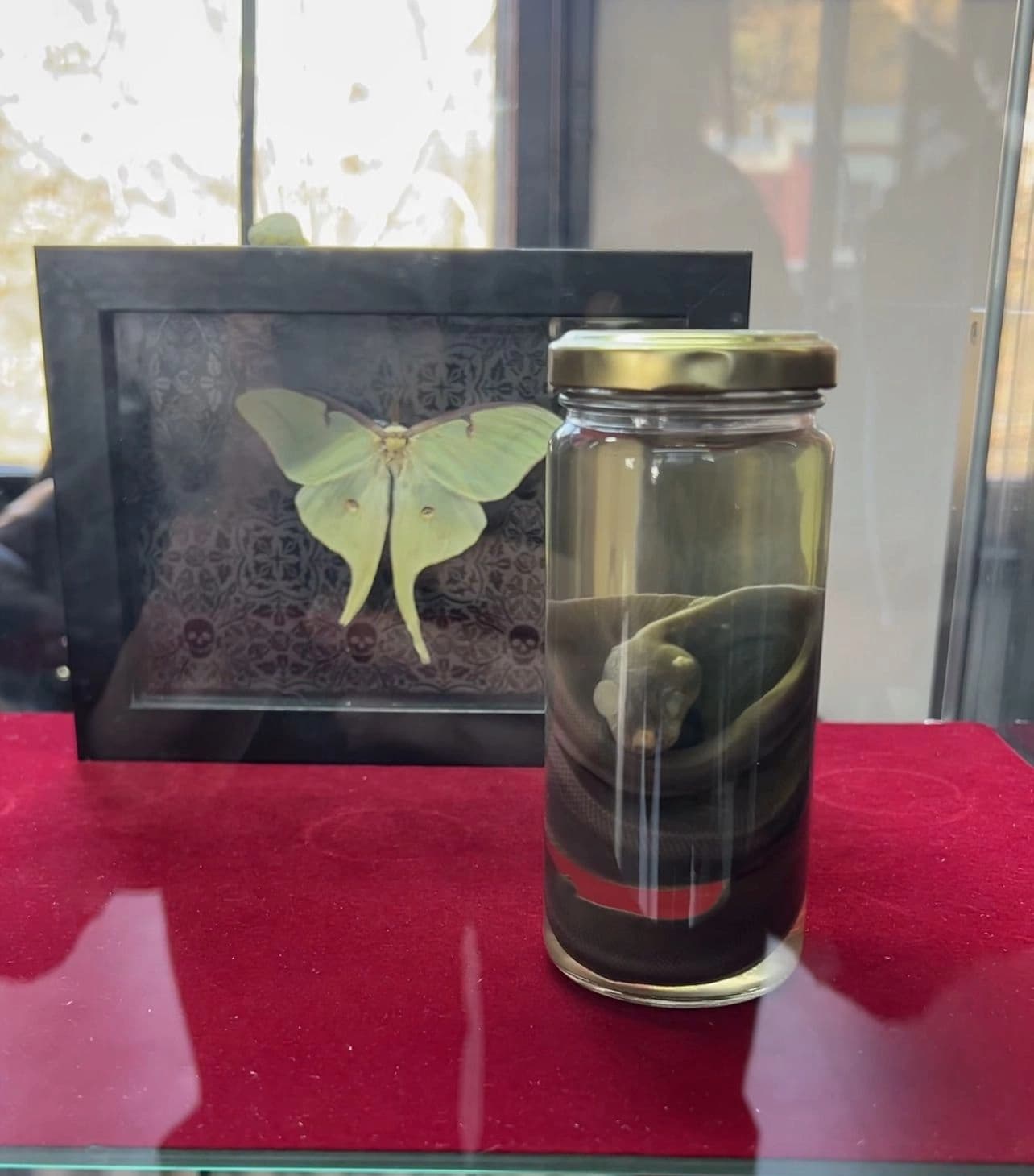 Find Yourself in Stokedville: New Jersey’s Hidden Gem for Alternative Fashion and Handmade Goods