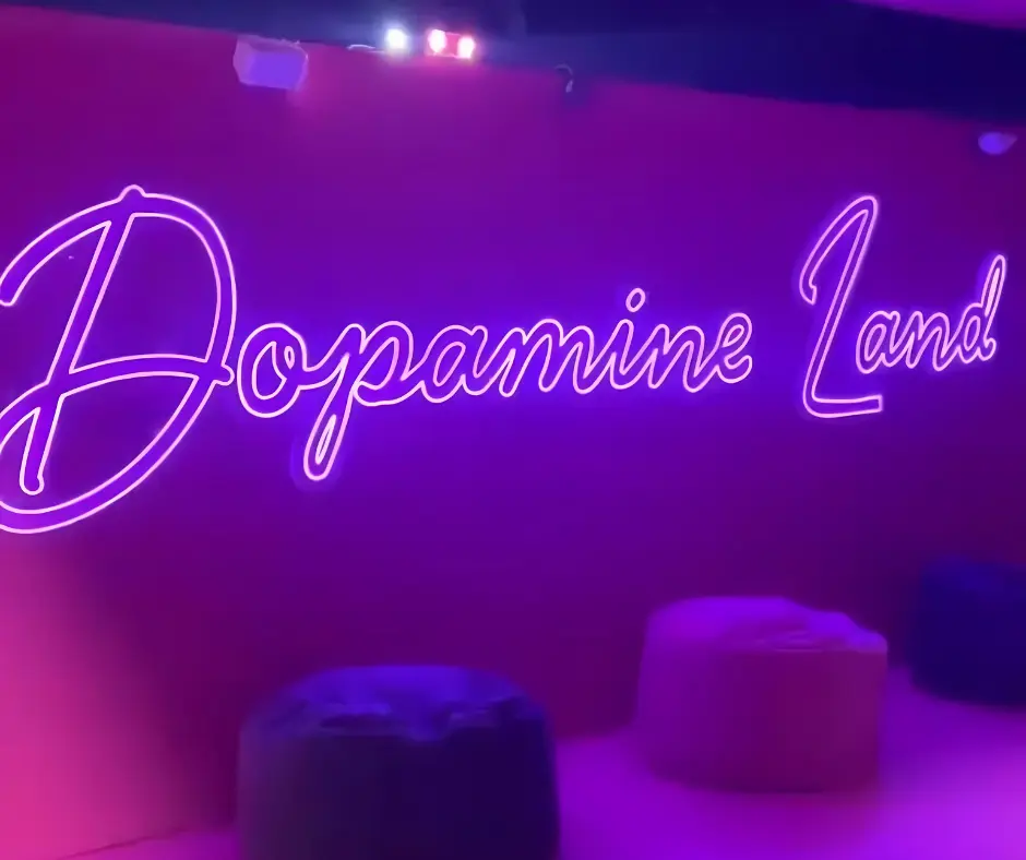 Dopamine Land: New Jersey's Multisensory Playground of Pure Chaos and Color